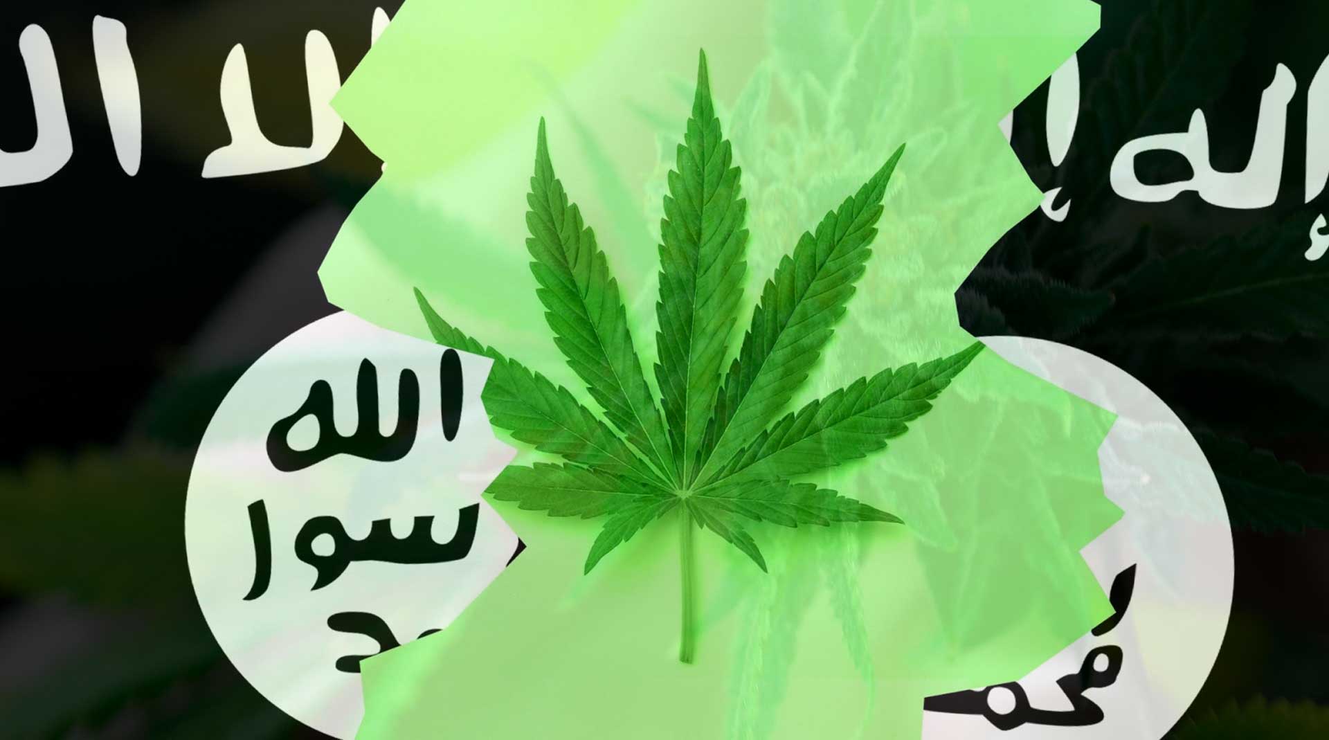ISMOKE Cannabis UK