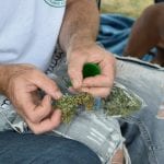 ISMOKE Cannabis UK