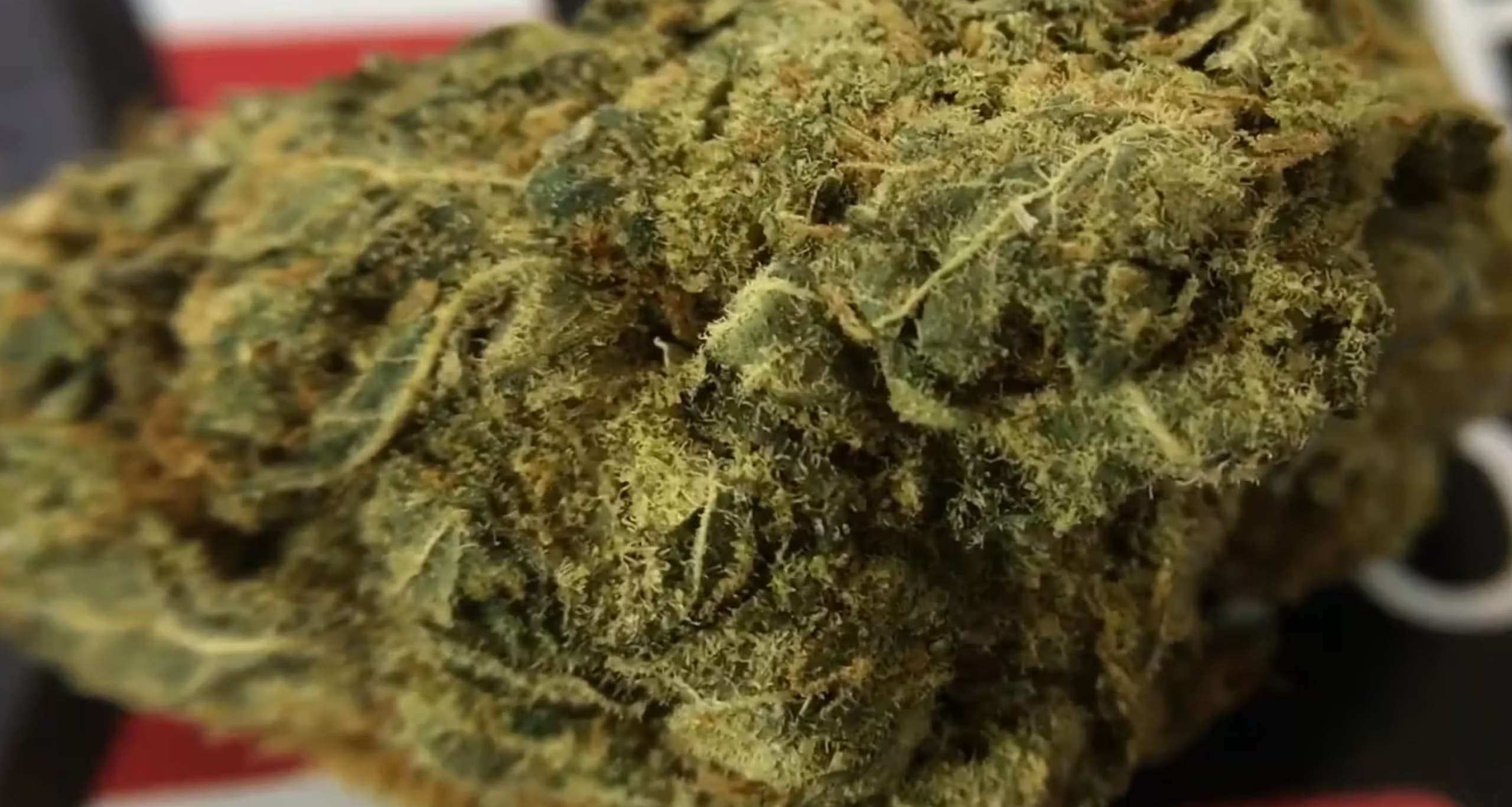 Northern Lights Strain Image ISMOKE Cannabis UK