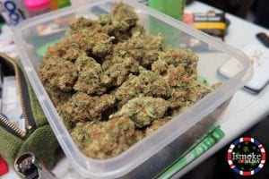 S5 Haze Strain
