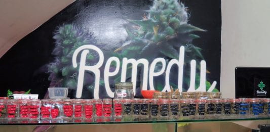 Remedy Barcelona ISMOKE Cannabis UK
