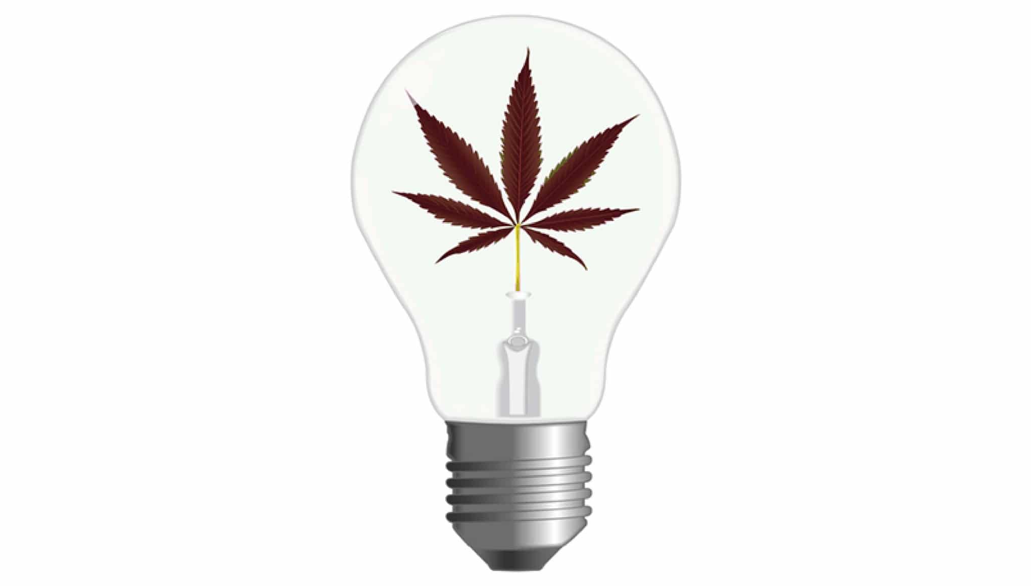 ISMOKE Cannabis UK