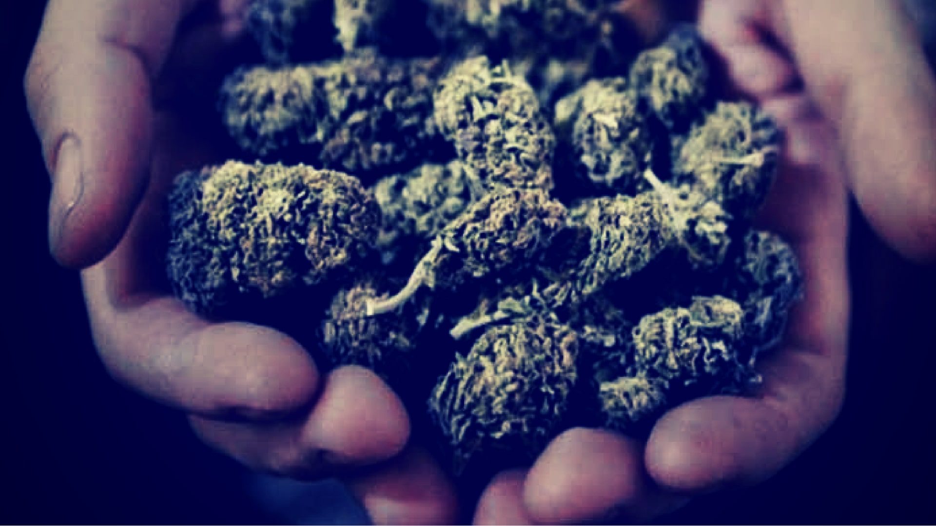 ISMOKE Cannabis UK