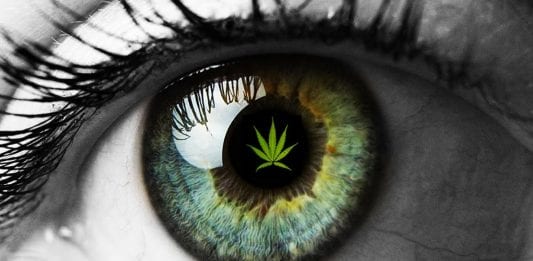 CBD in the UK ISMOKE Cannabis UK