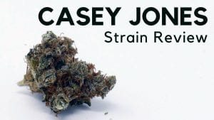Casey Jones ISMOKE Review