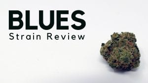 Blues Cannabis Strain Review