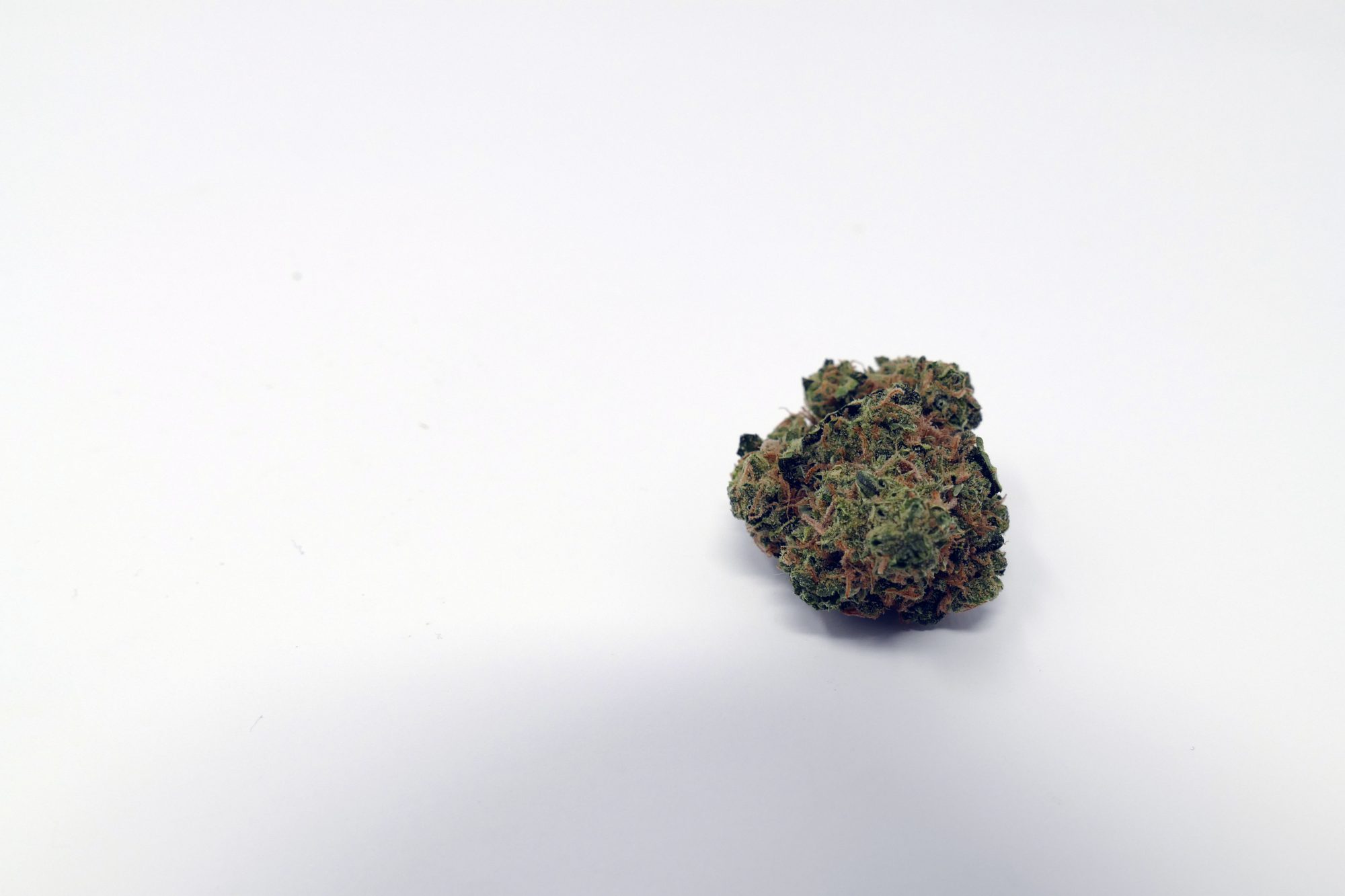 Blues Cannabis Strain