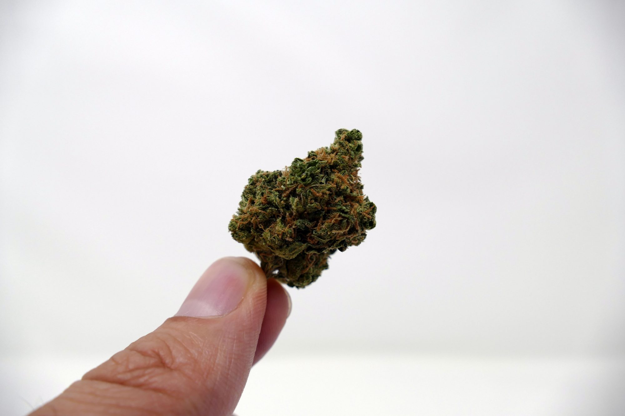 Blues Strain Image