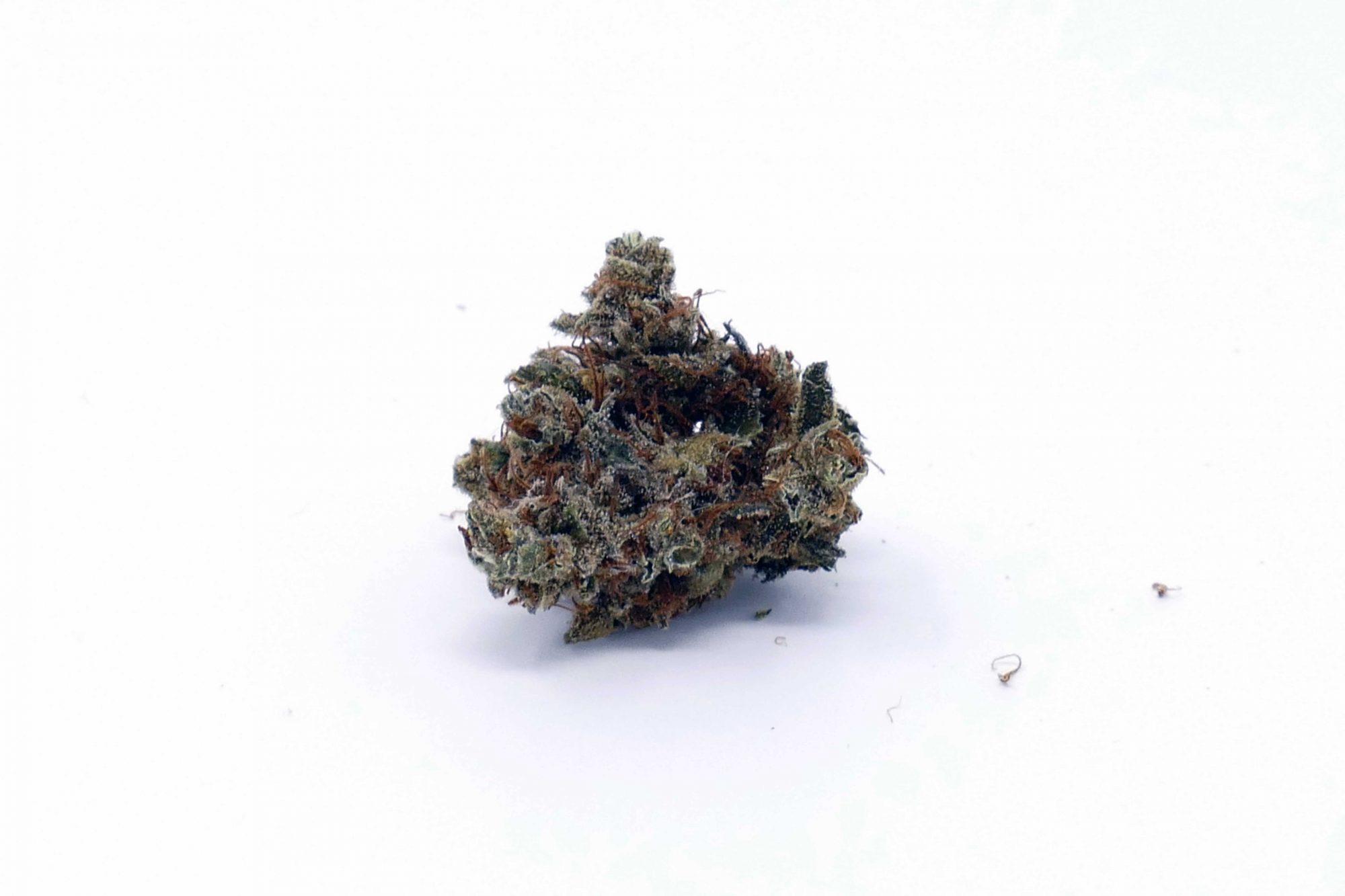 Casey Jones Strain Image
