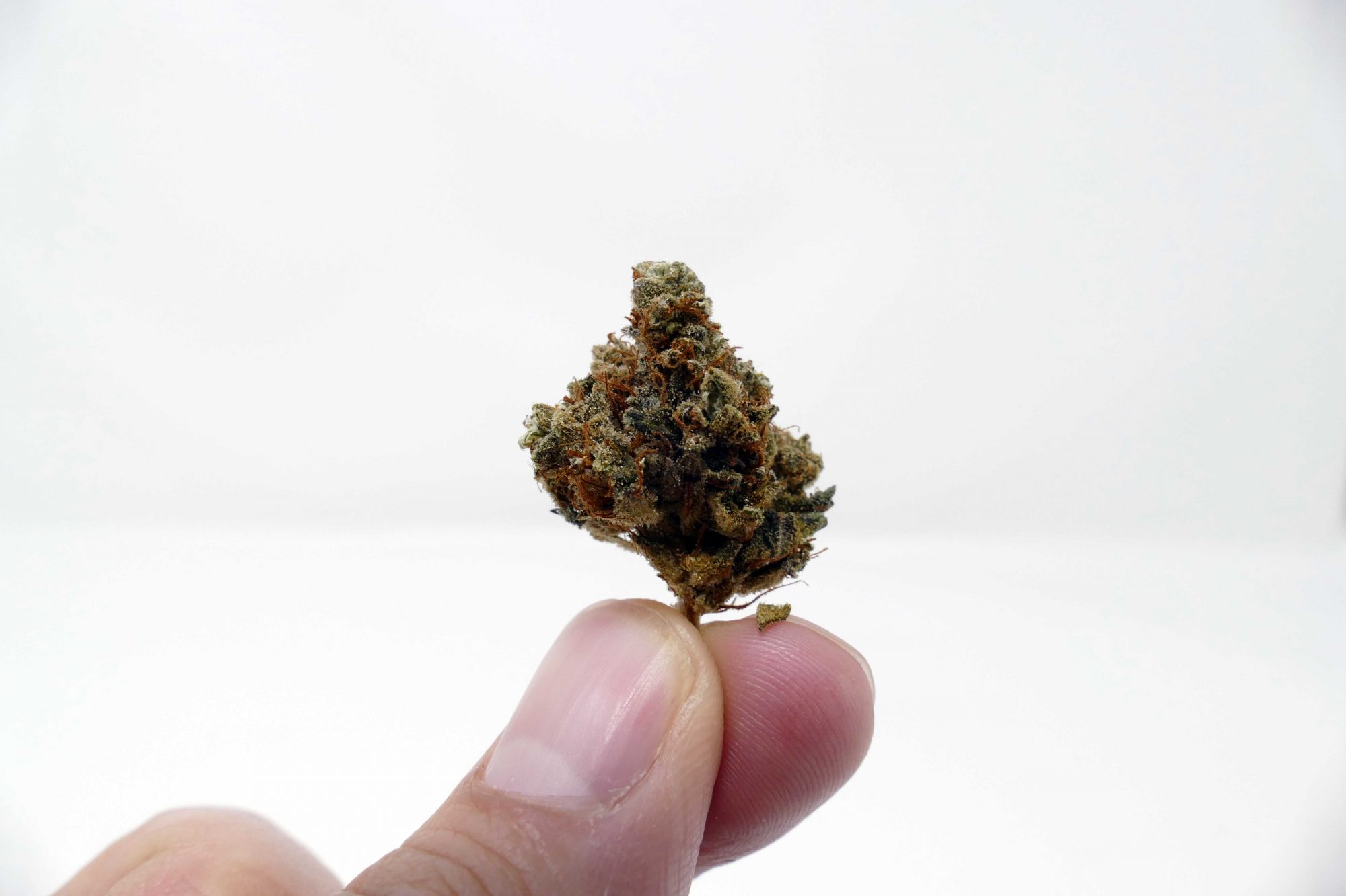 Casey Jones Strain Image