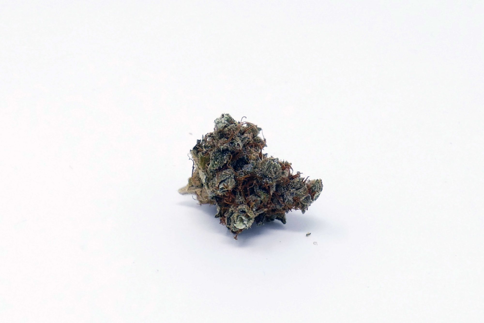 Casey Jones Strain Image