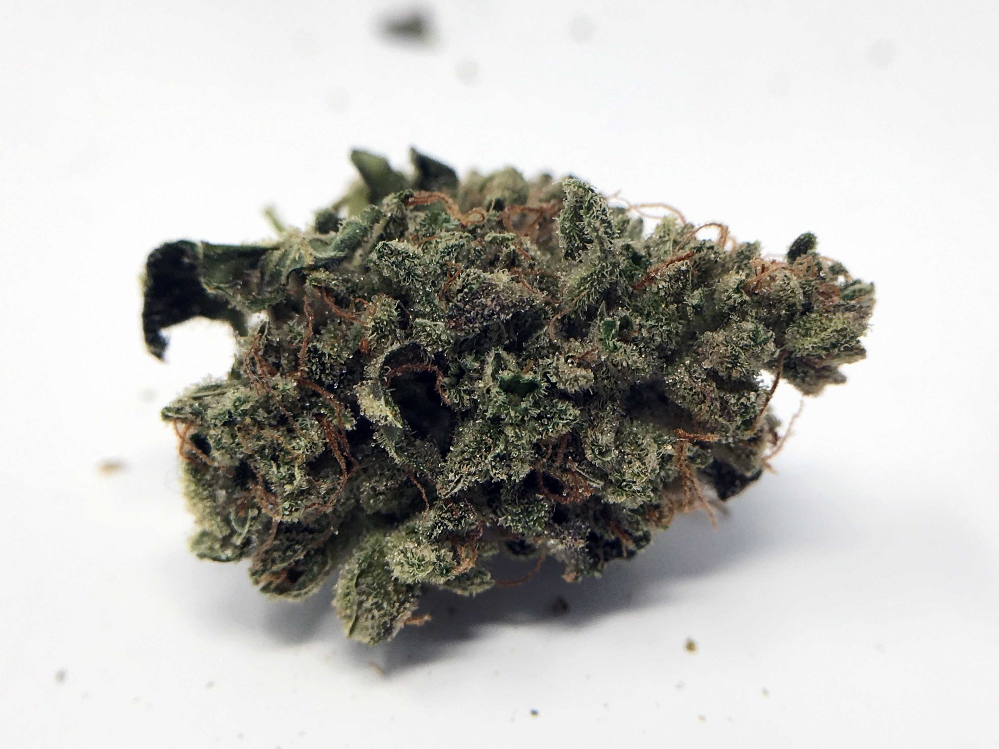 sour diesel haze strain image