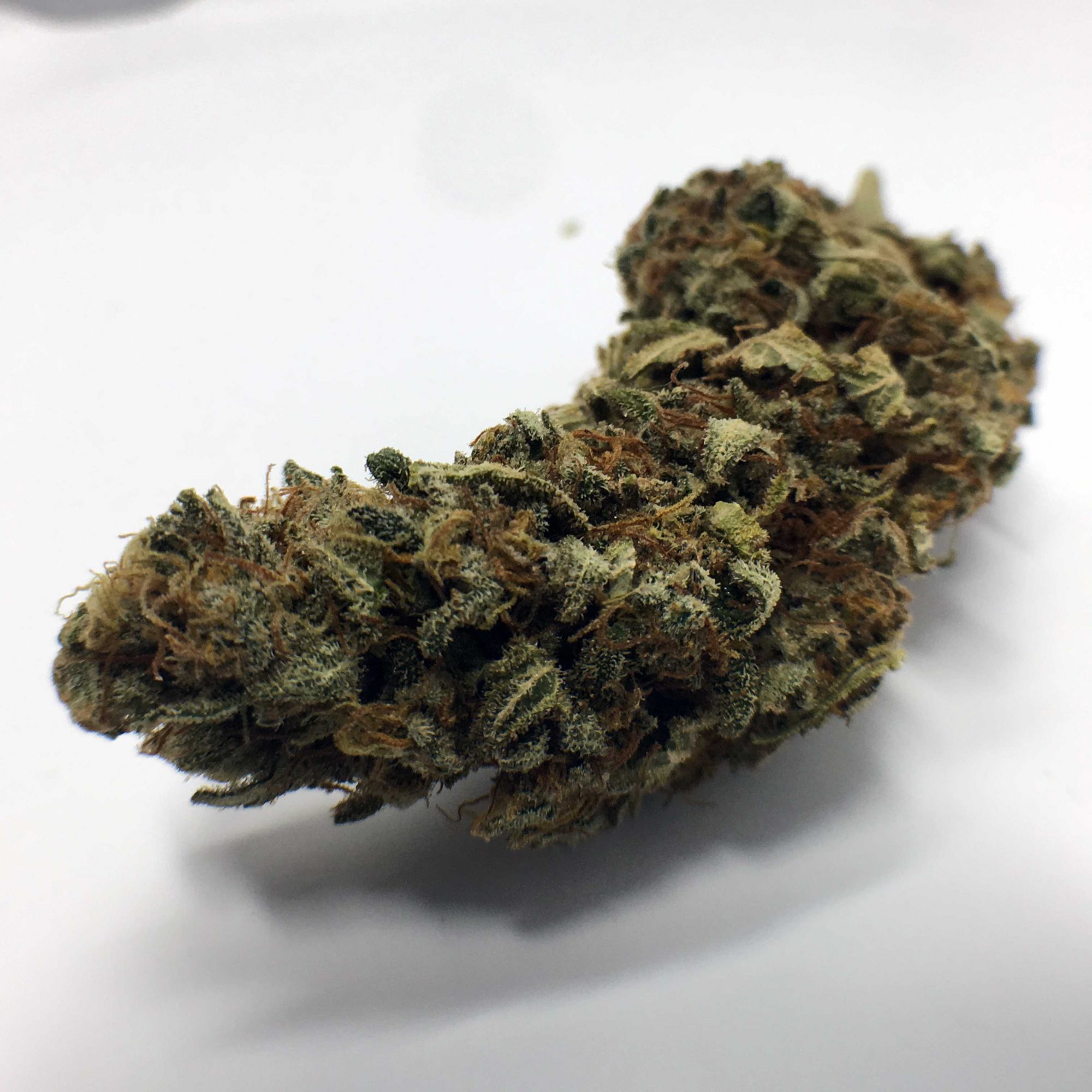 Grapefruit Diesel Strain Image