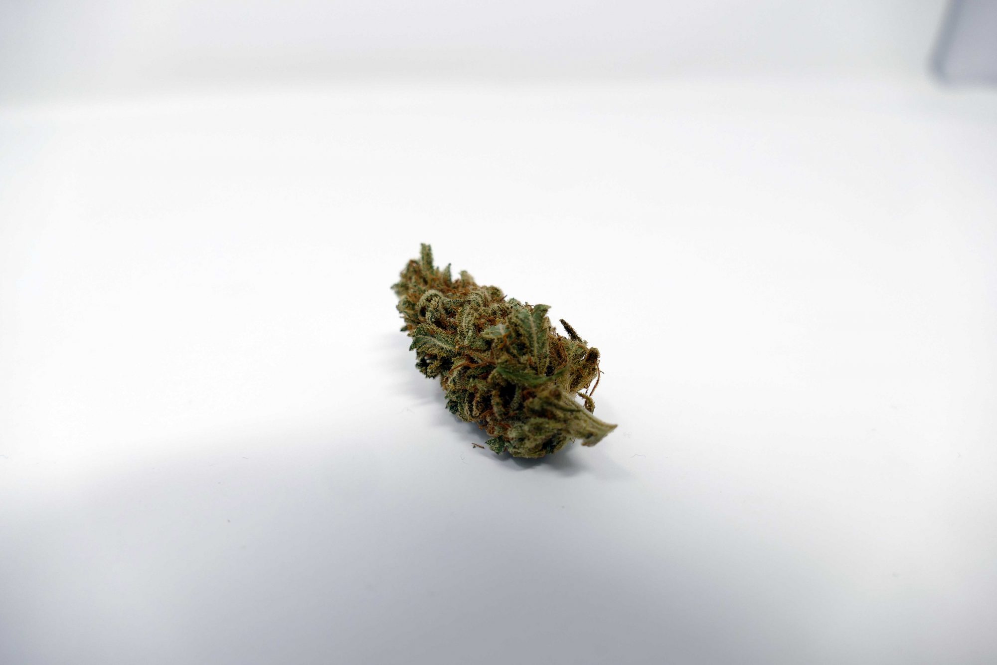 Grapefruit Diesel Strain Image