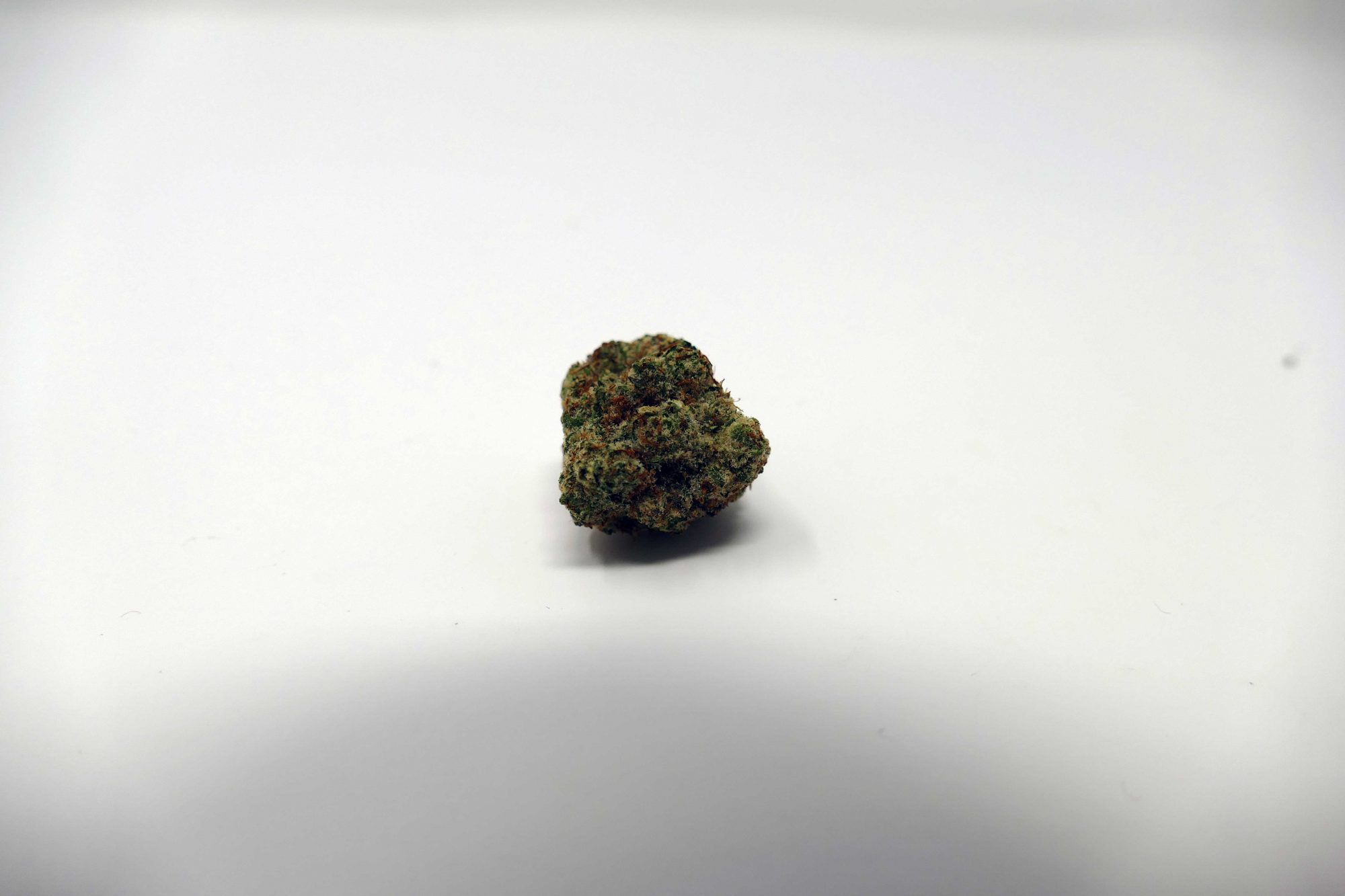 Zookies Strain Image
