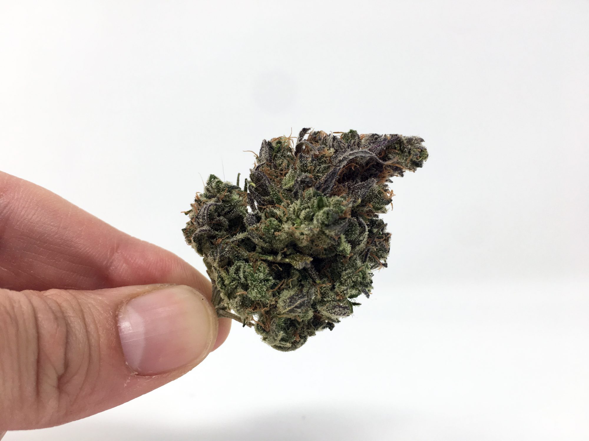 Psycho Citrus Strain Image ISMOKE Cannabis UK