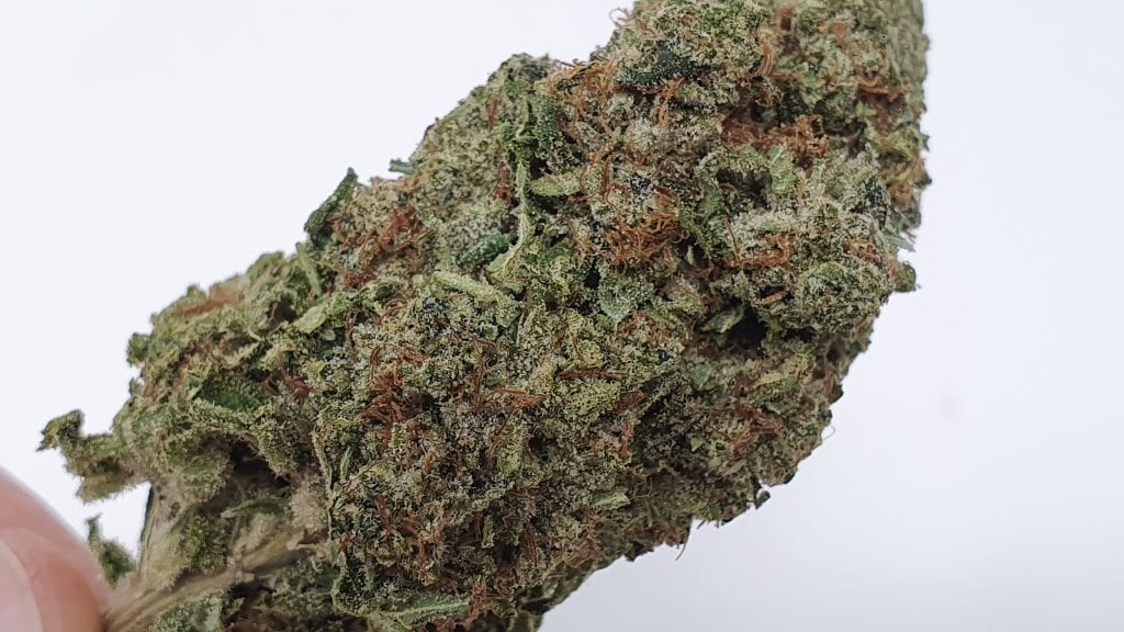 Marmalade Strain Image ISMOKE Cannabis UK