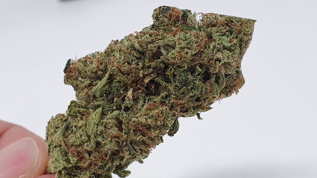 Marmalade Strain Image ISMOKE Cannabis UK