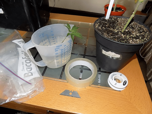 ISMOKE Cannabis UK