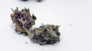 Purple Punch