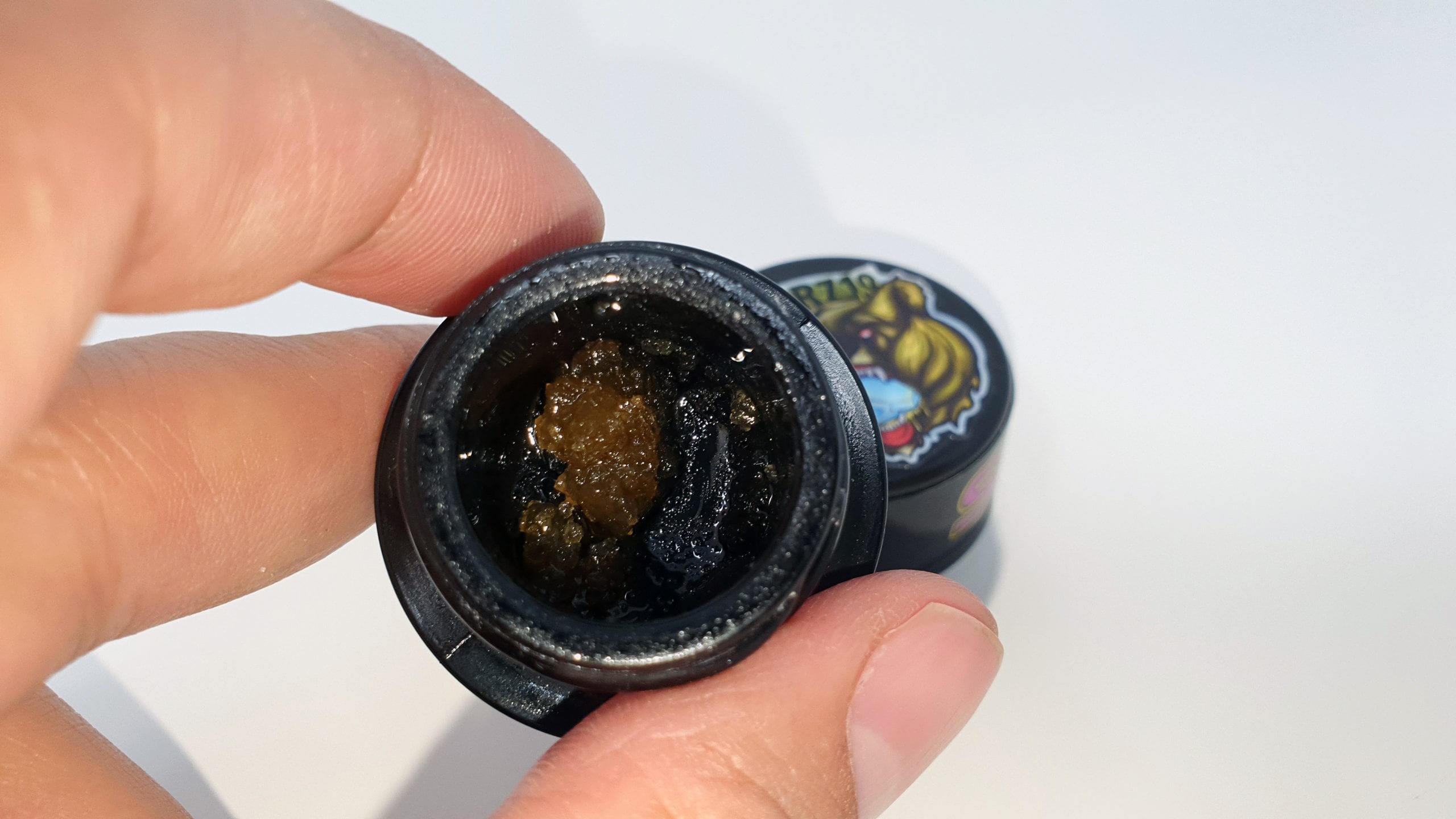 Bear 710 Diamonds
