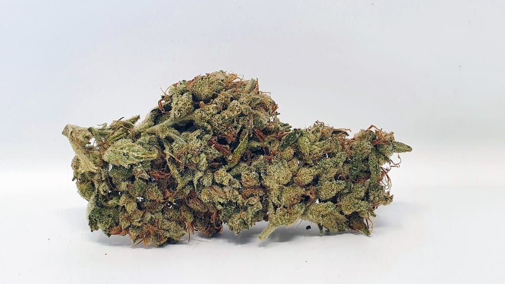 SSSDH Strain Image