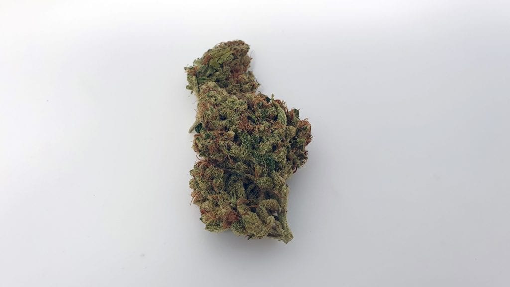 SSSDH Strain Image