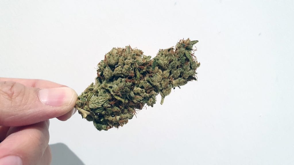 SSSDH Strain Image