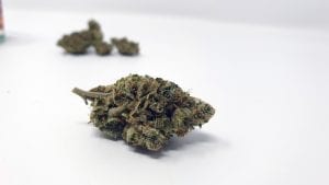 ZkittleZ ISMOKE Strain Review