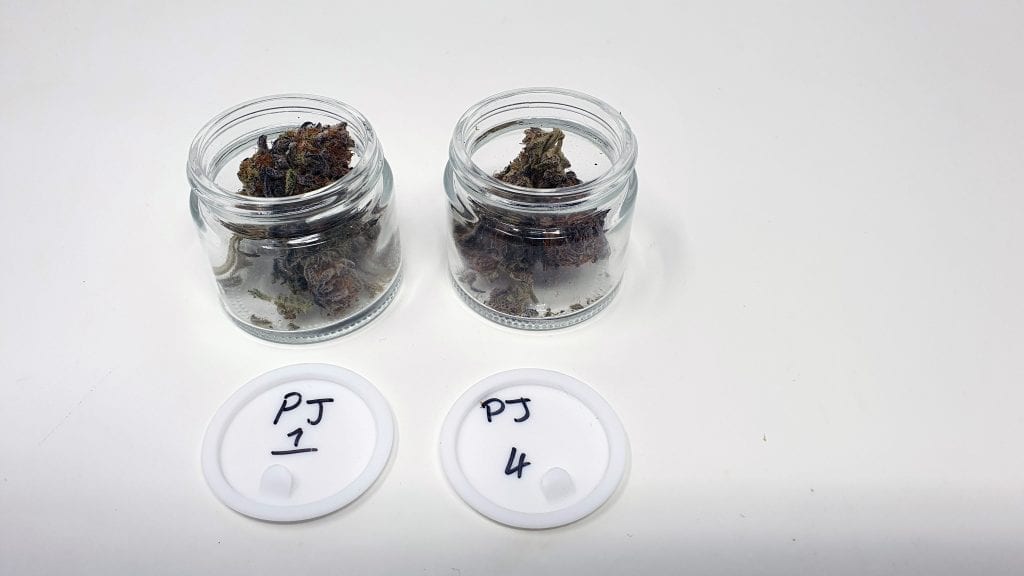 Platinum Jelly Strain Image ISMOKE Cannabis UK