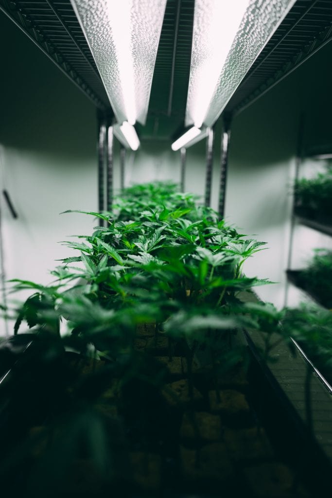 ISMOKE Cannabis UK