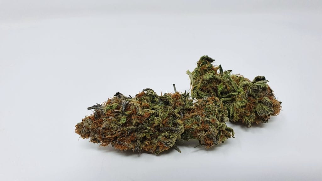 Disco Biscuit Strain Image ISMOKE Cannabis UK