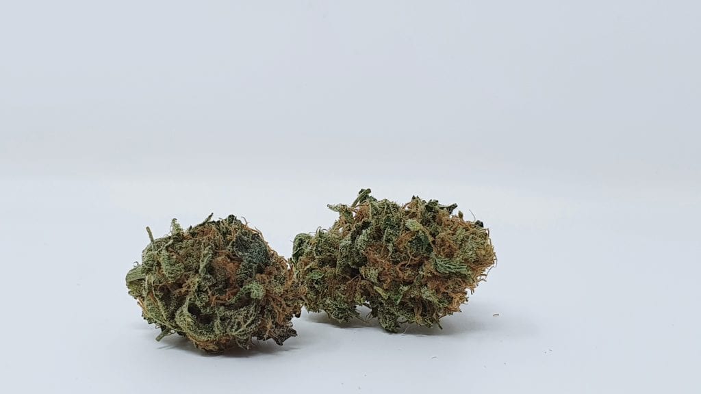 Disco Biscuit Strain Image ISMOKE Cannabis UK