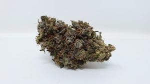 Kurokush Strain Review