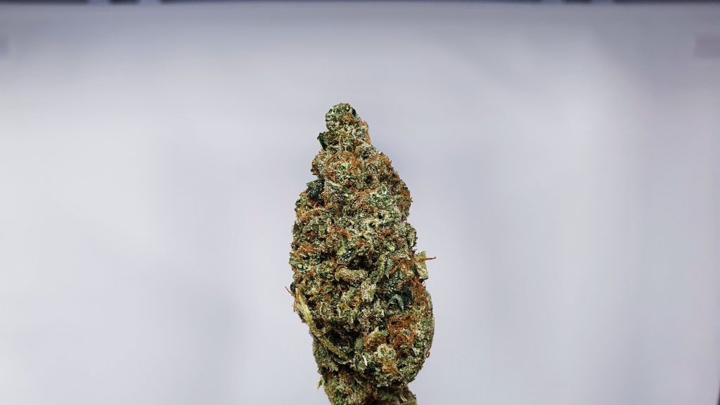 Hubba Bubba Strain bred by Dank Hunters Seed Co ISMOKE Cannabis UK