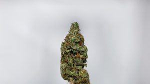 Hubba Bubba Cannabis Strain Review