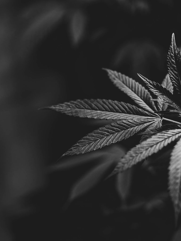 ISMOKE Cannabis UK