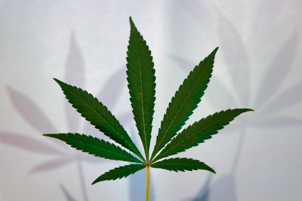 ISMOKE Cannabis UK