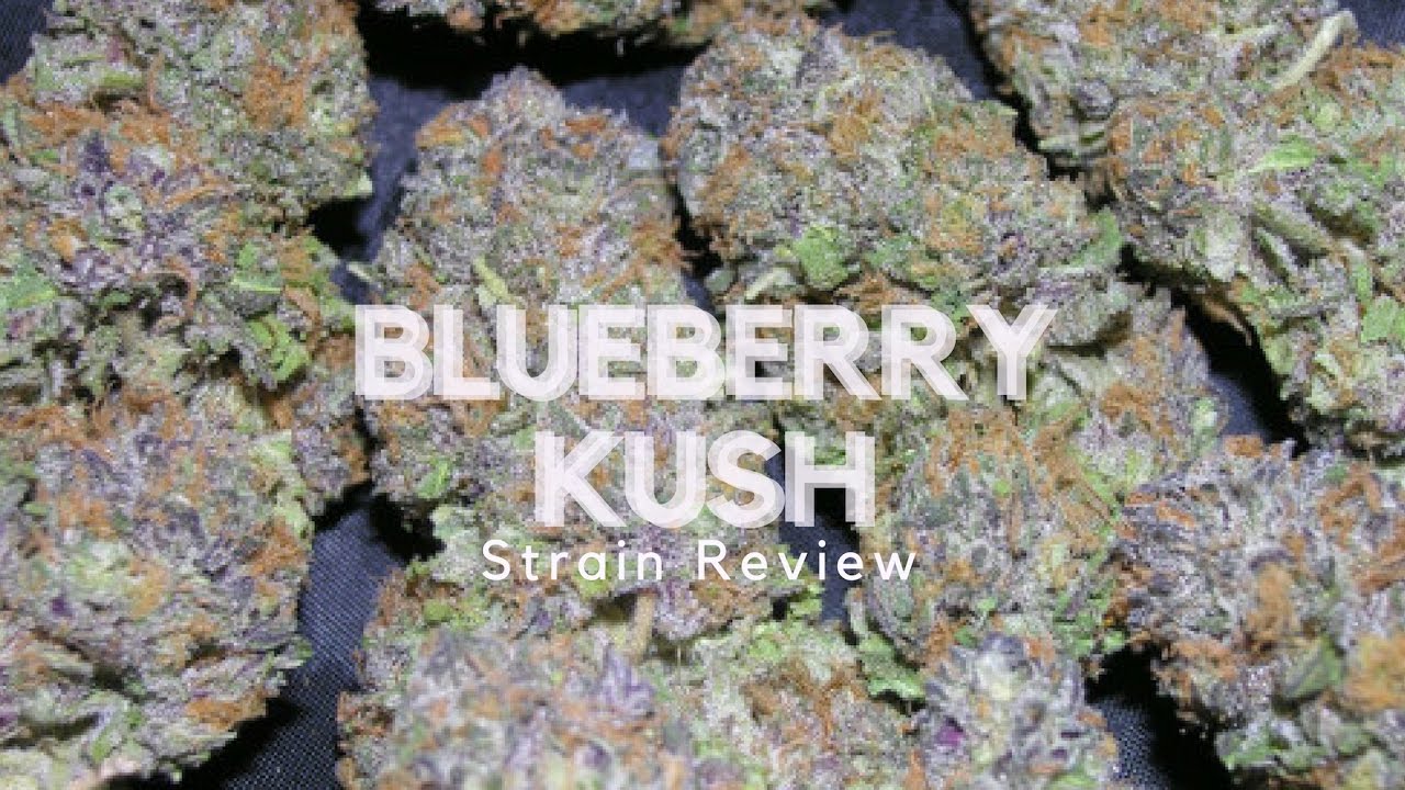 ISMOKE Cannabis UK